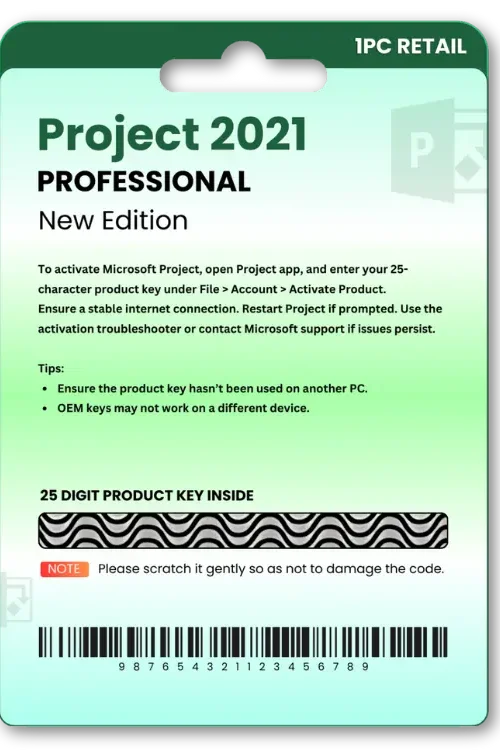 Project 2021 Professional Original License Key