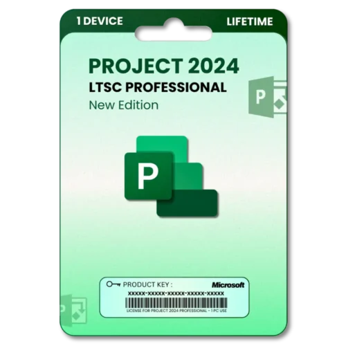 Project 2024 LTSC Professional Original License key